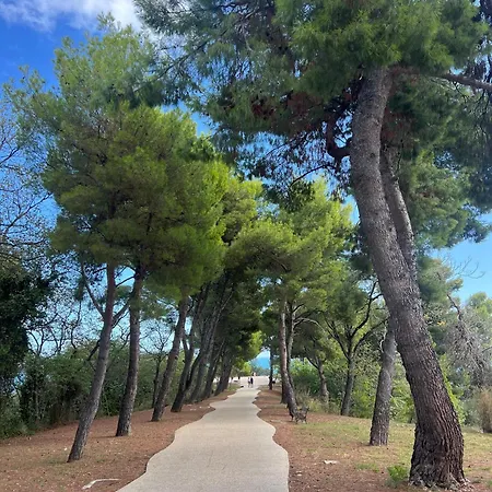 Gaeta Bed & Breakfast 3*